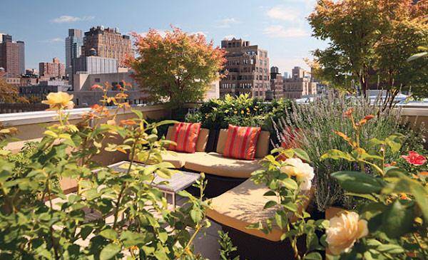 garden-on-the-roof